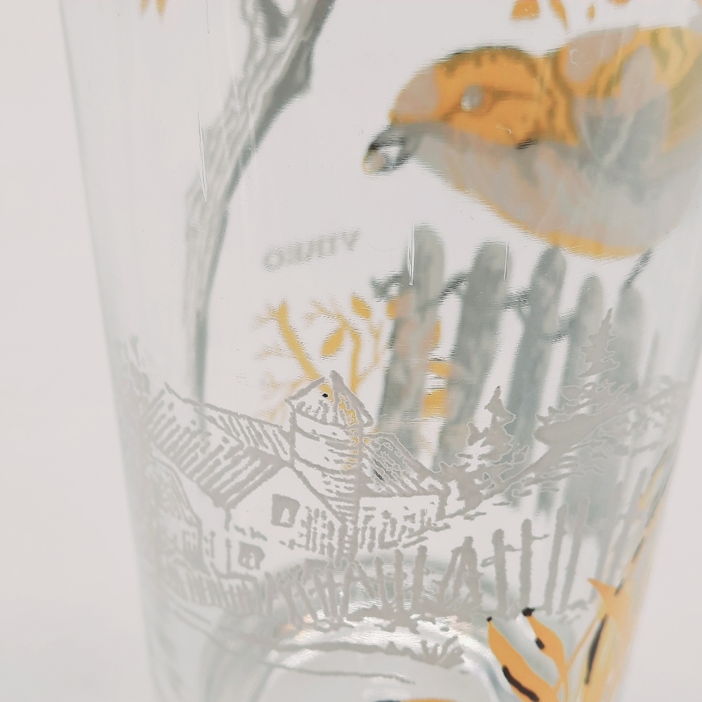Vintage Glassware Bird Collectors Drinking Glasses 2 Piece Set - Picture 7 of 7